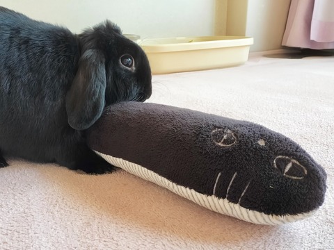 8E158EA0-7642-4651-9974-CE82C0012C32