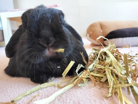 E2152CA6-0D64-4C69-9F3C-465B369957E6