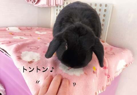 16CA28FC-3D44-4461-9262-15D8DCECA576