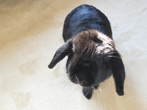 D574E67B-89AE-4362-B37F-768878281A58