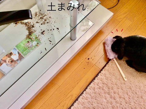 4FF176E8-2F4E-4BCB-9E44-926B4E7FBB59