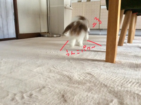 D422A820-0D00-4875-AC19-F699C74252C4