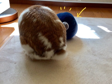 D1301B98-F3D0-477B-90AE-4920BDE52955