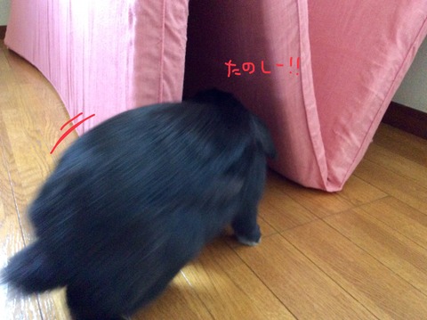 298D6E3A-4A34-4B1B-BC8F-F4458637A292