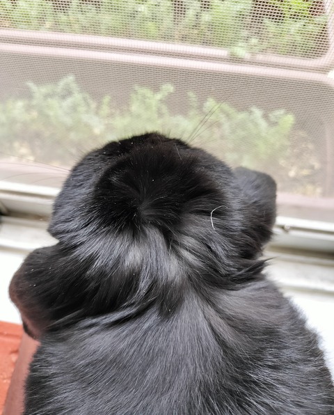 3AE43DC6-1B42-4C28-922D-3F2C4DAC67FC