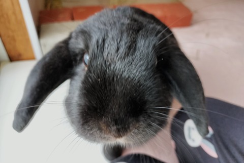 BD1E2F5F-BC4D-4FF2-841B-F44B6425FF32