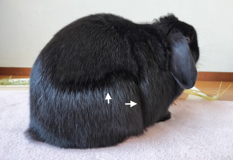 6EC6E20D-A431-4E41-9A8D-7146635320AC