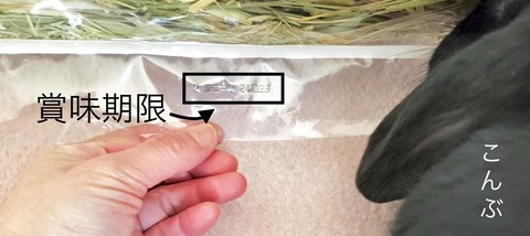 A004F2DB-304B-49F5-8454-1E2842FCFE28