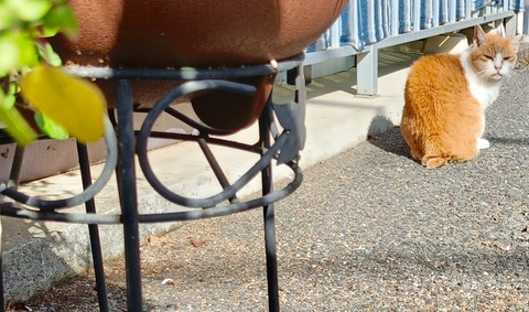 61D9692D-2315-4B69-84BB-C5FA595B6E4A