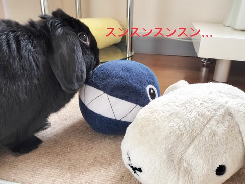 66268B6B-19C5-4D1A-8DEB-CFD1DB5212BA