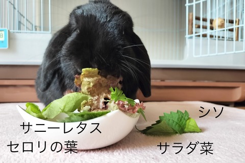 169982E2-CCE8-48B5-BEEE-DFDDD3123B37