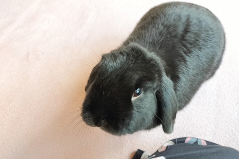 82D01D44-3C24-408B-801C-5B9509DF7A15