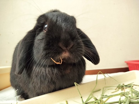 7B61AB6D-6B3F-4E96-A7EF-734B471AA5BF