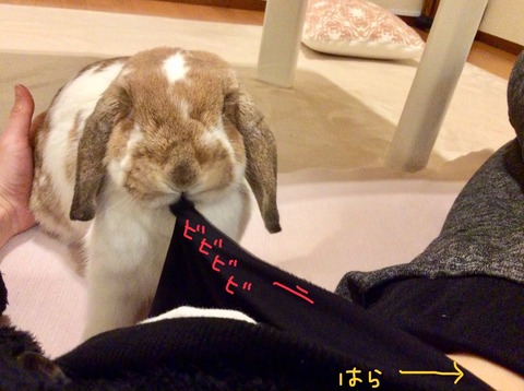 DA9EEBA7-9356-4B01-A90D-81E47EF0545D