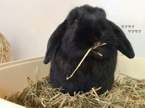 B3C08A82-517F-4EB9-B67C-8B6C39BFA435