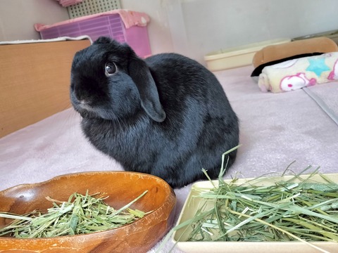 21D81E76-BB3C-40F7-B0F6-CC6725414DED