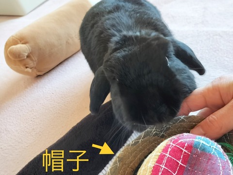 FBCC145A-DD56-45E1-A28C-121183D8629A