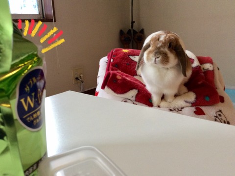 55B9D359-3107-46D1-A4DE-0501D68B9108