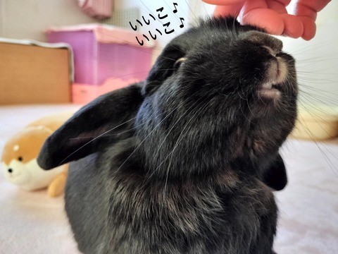 FF27A21C-A096-48D3-9AA8-9041C71FEB6E