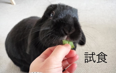 DE1F669A-7A0E-4916-AB6F-A54BF29F26DD