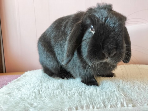 E4DCB8B7-0C69-4A89-ADE4-4CF82694C9D4