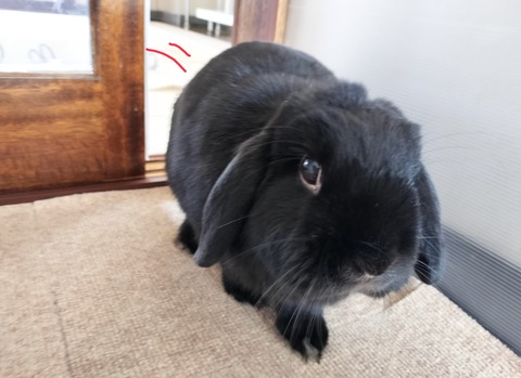 012F4B9D-ED1F-49EF-A930-A6D8EBCDE3D6