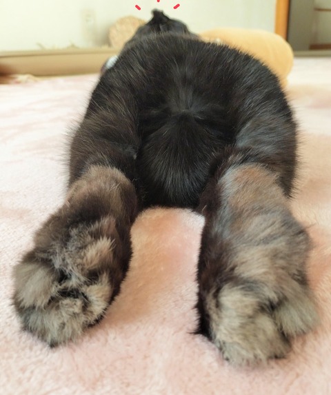 E1B4DA38-8AD6-4A1D-8759-5D0EDCC32253