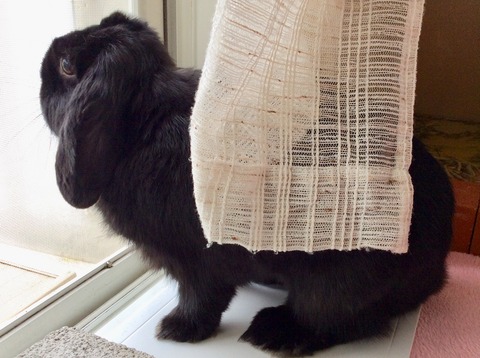 167E9497-7274-4E55-B3C1-81F3B46F68BE