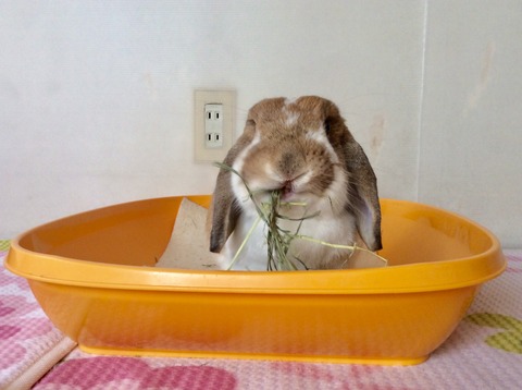 79D0AFF1-BCD3-468E-8CD8-A9A829E19142