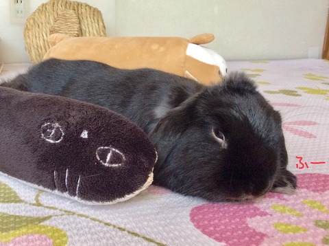 EE5362C4-9274-4307-868D-414D92BBBC13