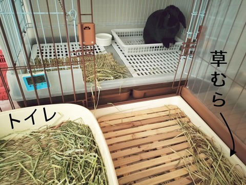 9DA74386-0E98-456F-BEF3-B88C528B4ACA