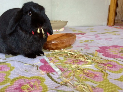 57EB473A-CDFC-48C3-B5E8-70DF0FED18C5