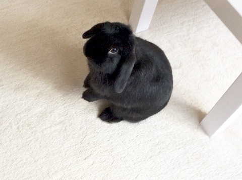 E450BEDE-C62F-4217-9EC8-061C4EE7BF94