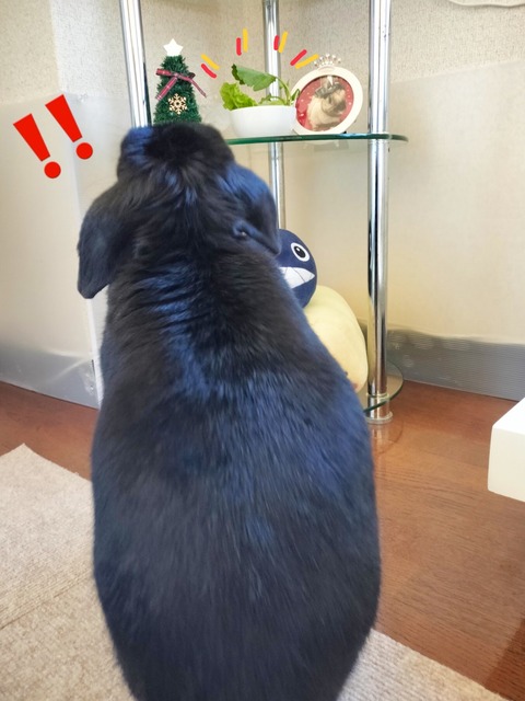 309D2723-7252-4E99-8E40-1841C27FB4BA