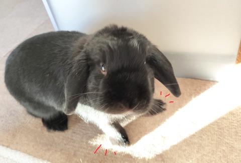 AABA9D66-AE0F-4BC4-8A2A-4DF91FC9E6F6