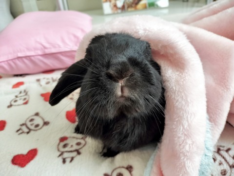 AF5A163B-A81C-4CCF-AB75-E7AA59AE56BC