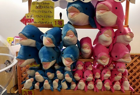 98D36A8D-7C3F-4EE2-B403-B99E9490EAB7