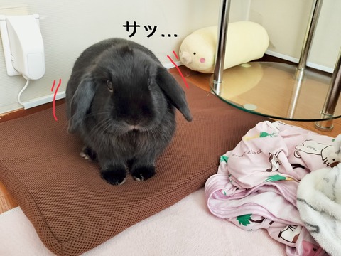 705EA640-A70A-4971-B3D2-7C8DCDA1E2FA