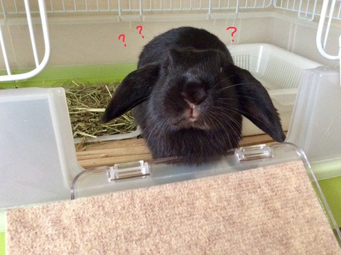 C3D31DB0-0C7C-413E-A117-45C2FA4AEF19