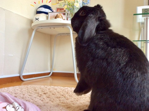 F92D6821-9415-44AB-A186-2AA8A02EFC91