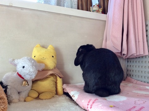 D3F69AC2-D06A-4436-BB7A-F9536C0F1EFD