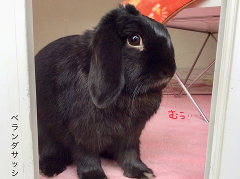 267DBE0C-2A72-4ACD-8082-8A8B1070DD82