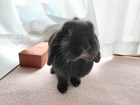 AB647F95-06EC-4655-92A1-64F8EC96F5BB