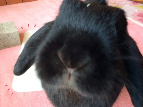 DA6F0452-E1D3-4C57-AC86-4252A4E0B79A