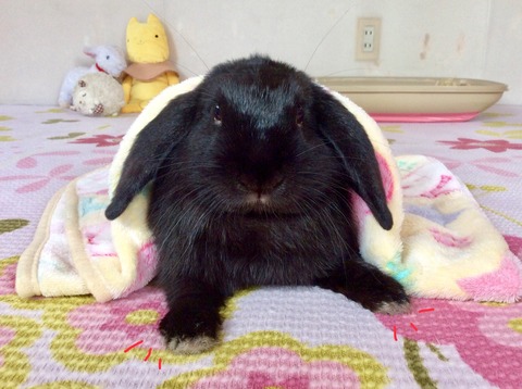 35DF1F47-A433-4BFA-BC87-5D1361D7069D