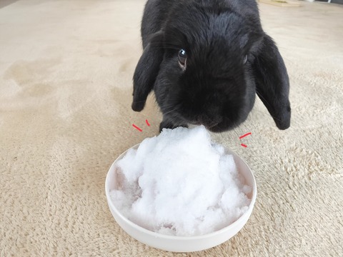 CF26A1F0-52F9-4D88-8E88-A42DBF6EC3F2