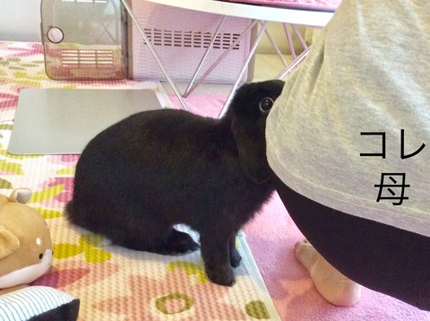 19987457-DA8C-4D51-AD07-4629C399DDEB