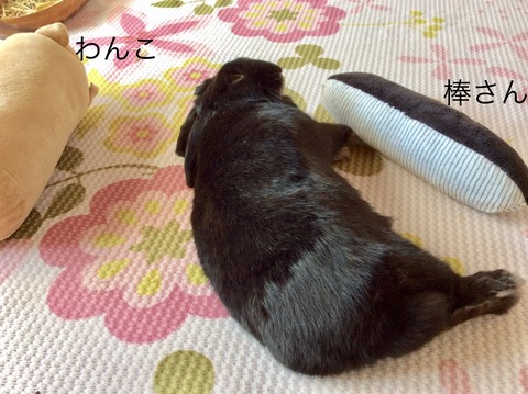 9958C098-9515-46CC-87A0-6EDC5D50DC9E