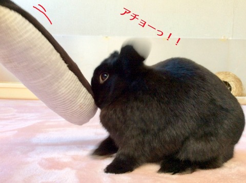 6D1D3026-6193-4AA0-87B6-646789B6C386