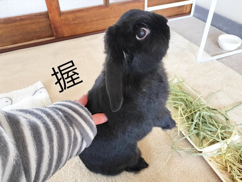 75010E2D-9709-48FB-9AAF-A4C3DFC9CEF7